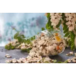 fleur d'acacia séchée bio de France - Direct producteur