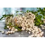 fleur d'acacia séchée bio de France - Direct producteur
