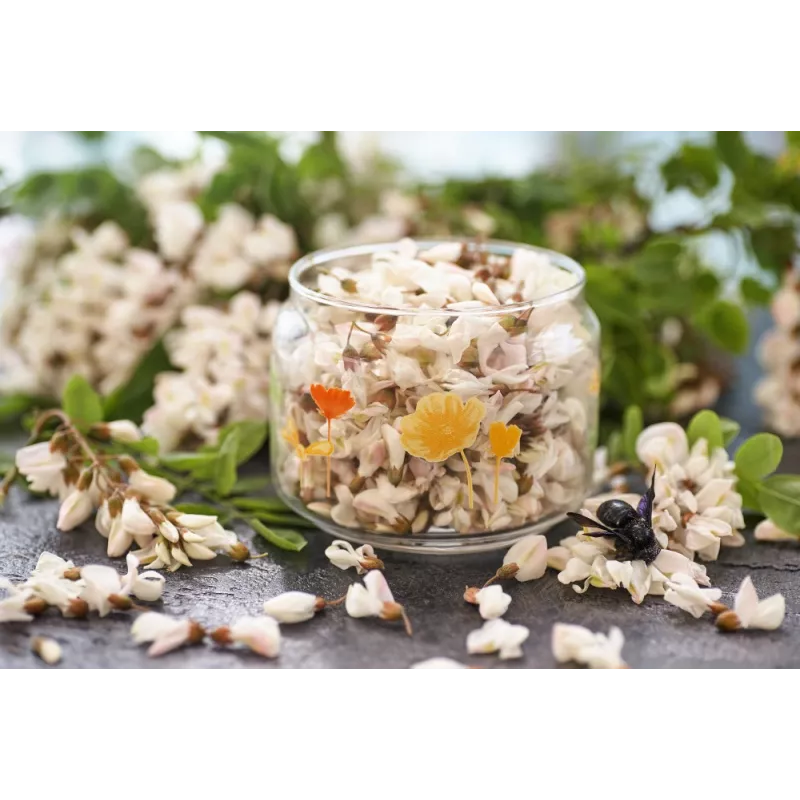 fleur d'acacia séchée bio de France - Direct producteur