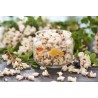 organic dried acacia flower from France - Direct producer