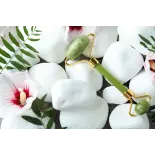 Pure Jade Face Beauty Roller - Handmade Pure Jade Face Beauty Roller - Handmade