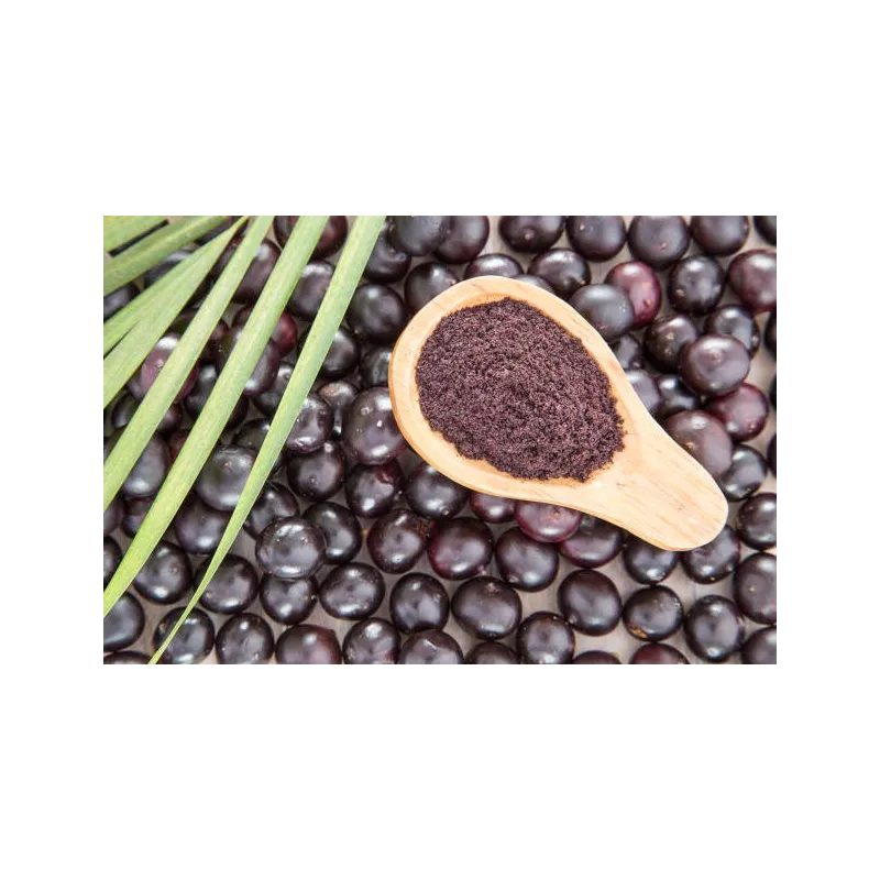Pure organic açaï berry powder from Brazil
