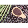 Pure organic açaï berry powder from Brazil