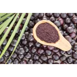 Pure organic açaï berry powder from Brazil