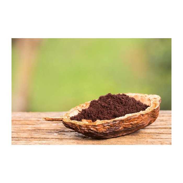 Pure organic açaï berry powder from Brazil