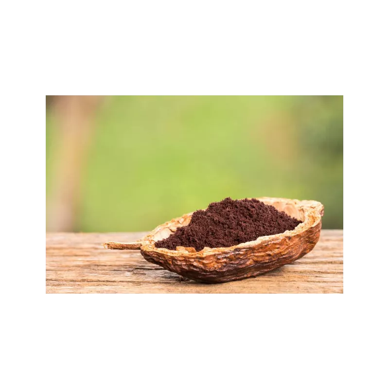 Pure organic açaï berry powder from Brazil