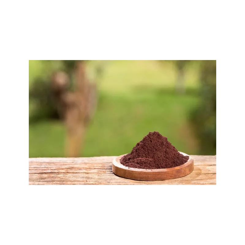 Pure organic açaï berry powder from Brazil