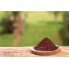 Pure organic açaï berry powder from Brazil