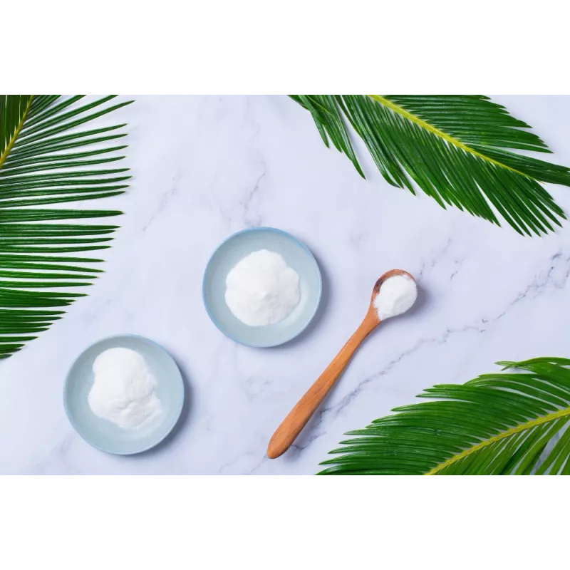 Organic Agar Agar pur powder from France - direct producer