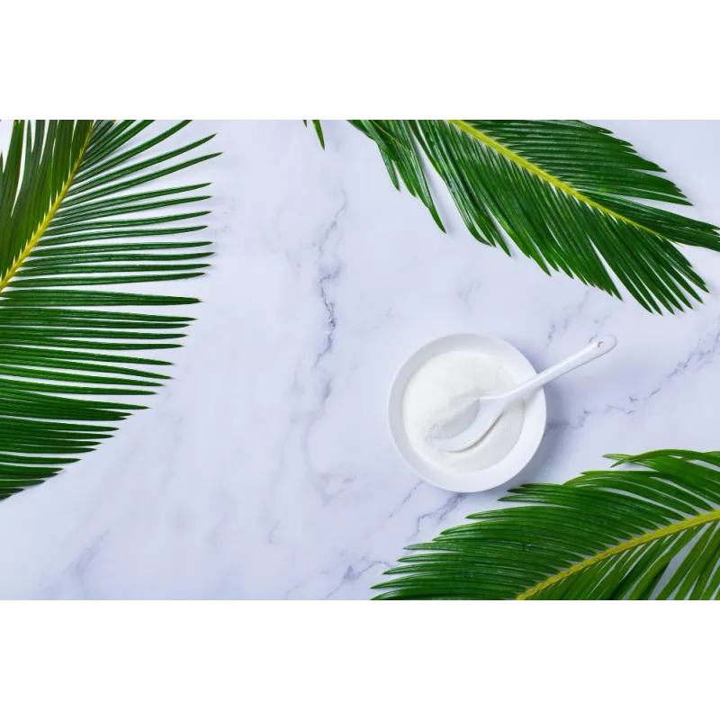 Organic Agar Agar pur powder from France - direct producer