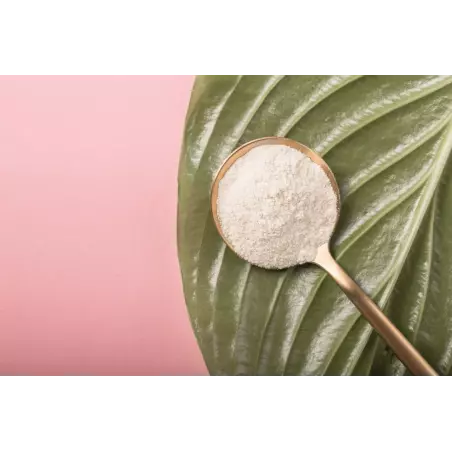 Organic Agar Agar pur powder from France - direct producer