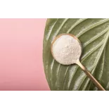 Organic Agar Agar pur powder from France - direct producer