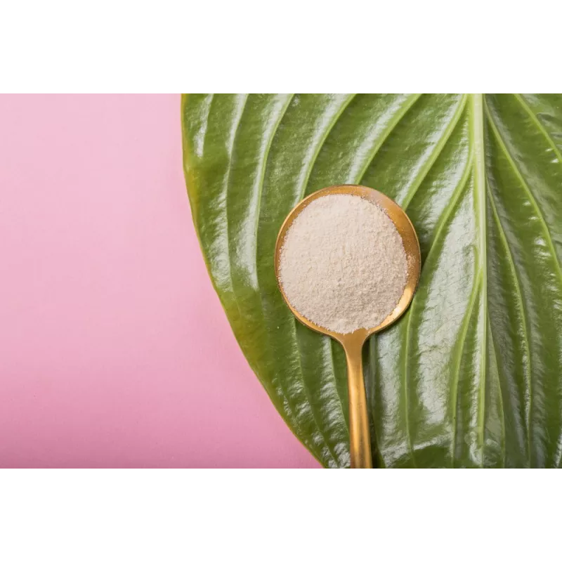 Organic Agar Agar pur powder from France - direct producer