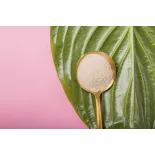 Organic Agar Agar pur powder from France - direct producer