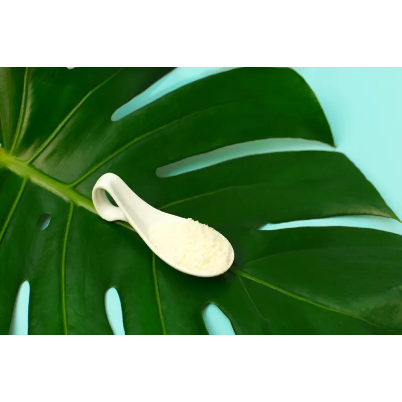Agar Agar bio en poudre pure de France - direct producteur