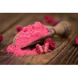 Organic & fairtrade raspberry powder from Europ