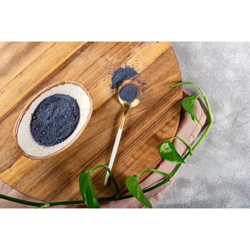 Organic wild blueberries powder from Germany