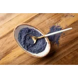 Organic wild blueberries powder from Germany