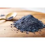 Organic wild blueberries powder from Germany