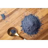 Organic wild blueberries powder from Germany