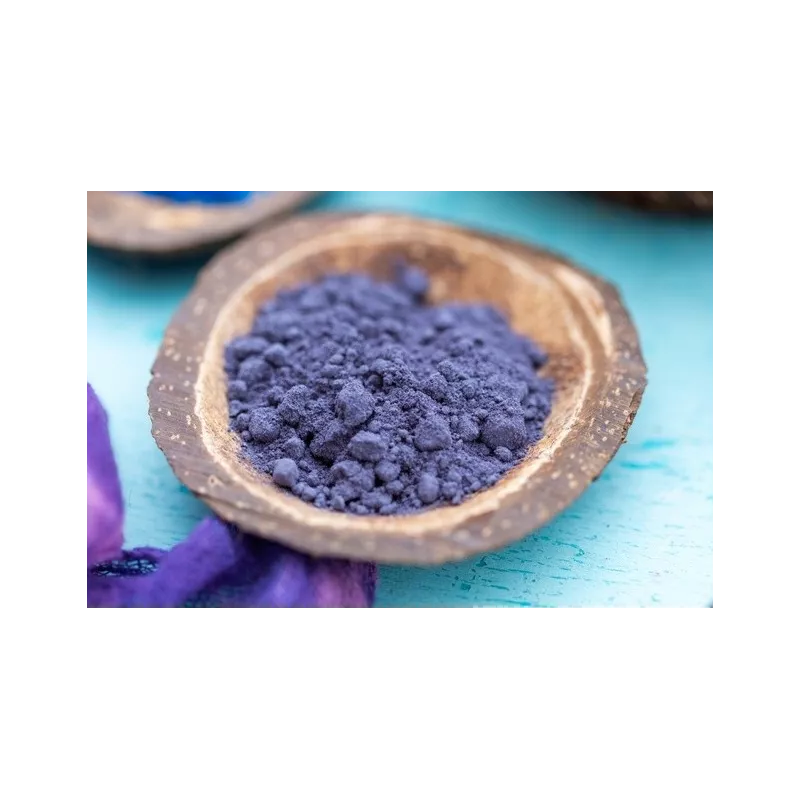 Organic wild blueberries powder from Germany