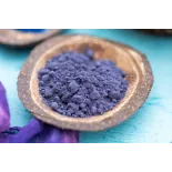 Organic wild blueberries powder from Germany