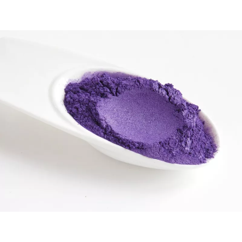 Organic wild blueberries powder from Germany