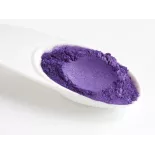 Organic wild blueberries powder from Germany