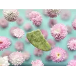 Pure jade gua sha for the face - handmade Pure jade gua sha for the face - handmade