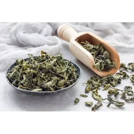 Organic and fair trade premium green Tea PGI Darjeeling from the Hi...