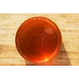 Organic and fairtrade agave syrup premium from Mexico Organic and fairtrade agave syrup premium from Mexico