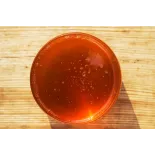 Sirop d'agave bio & fairtrade du mexique Premium