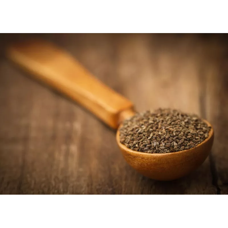 Graines d'ajowan ou ajwain bio du Rajasthan en Inde