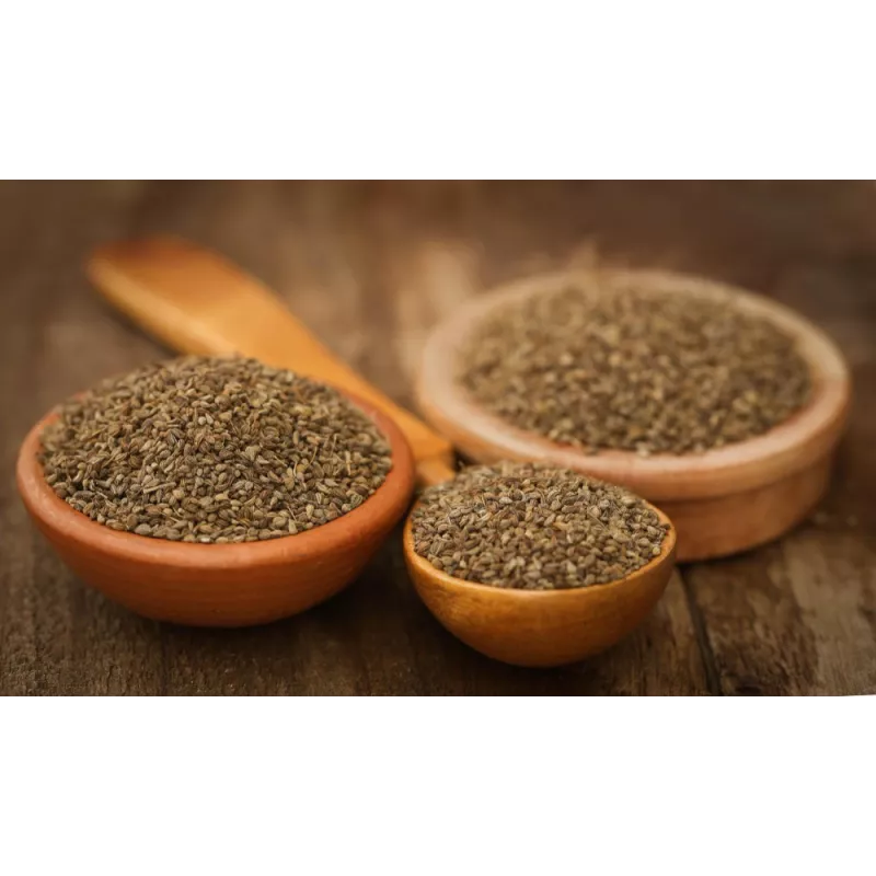 Graines d'ajowan ou ajwain bio du Rajasthan en Inde