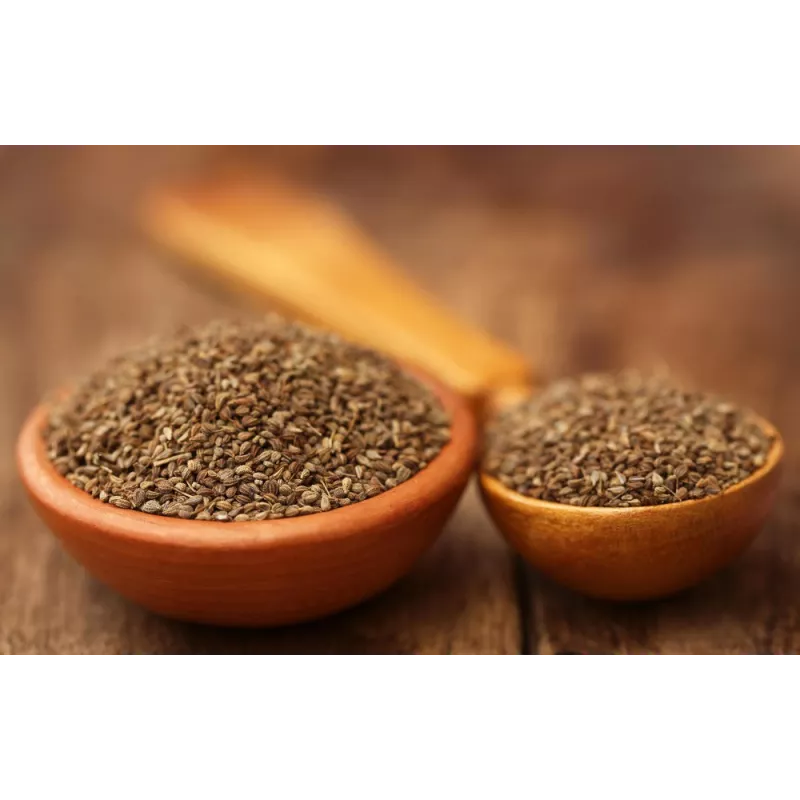Graines d'ajowan ou ajwain bio du Rajasthan en Inde