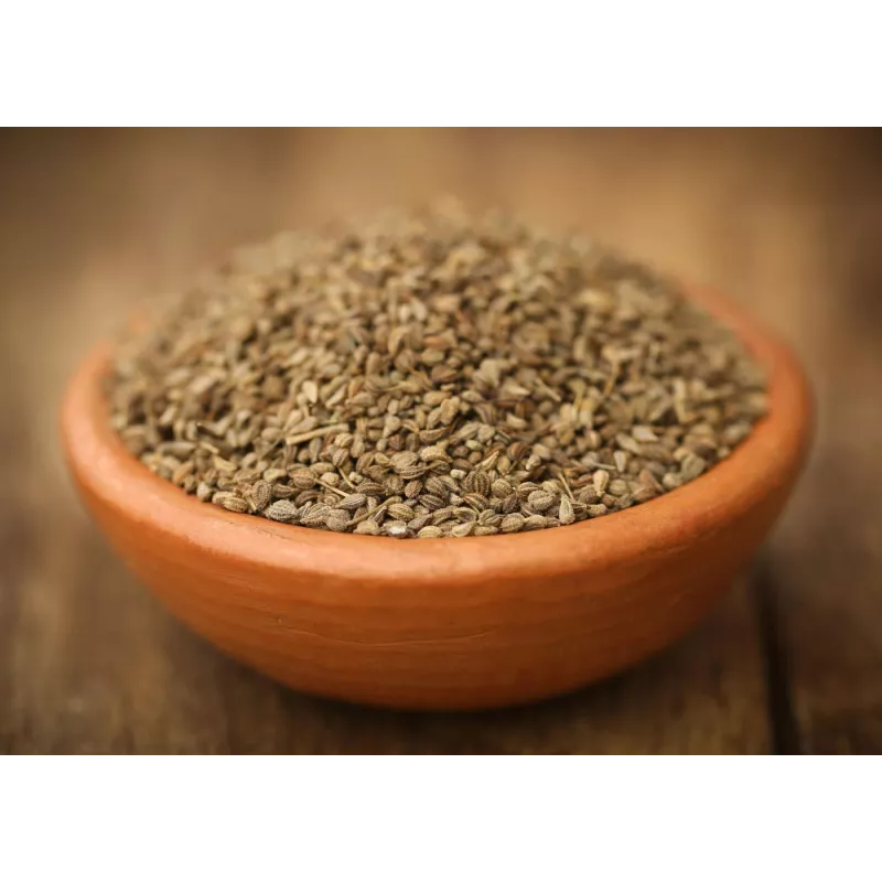 Graines d'ajowan ou ajwain bio du Rajasthan en Inde