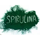 Green organic spirulina powder from France - direct producer