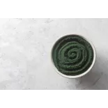 Green organic spirulina powder from France - direct producer