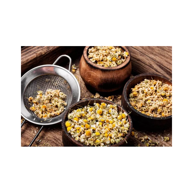 Organic dried Roman chamomile flowers From France - Direct producer