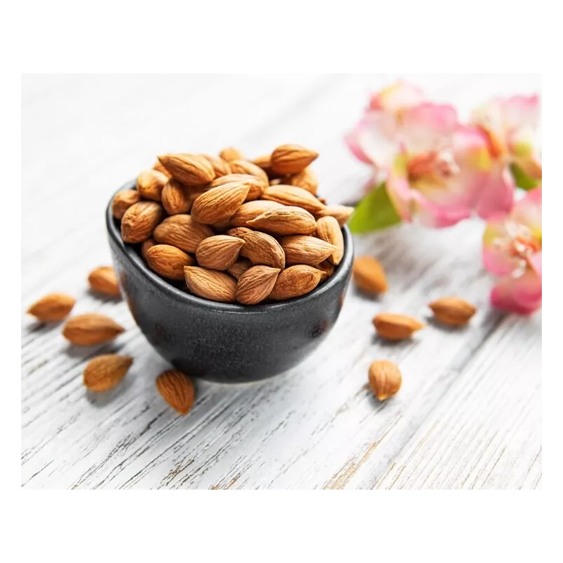 Raw organic & fairtrade dried shelled apricot kernels from Uzbekistan