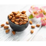 Raw organic & fairtrade dried shelled apricot kernels from Uzbekistan