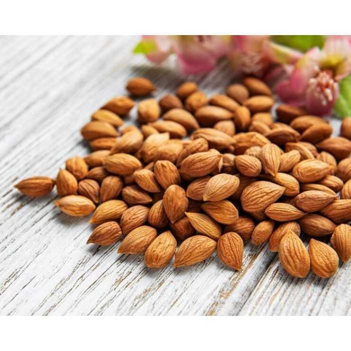 Noyaux d'Abricots séchés décortiqués crus bio & fairtrade d'Ouzbéki...