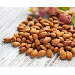 Raw organic & fairtrade dried shelled apricot kernels from Uzbekistan