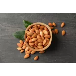 Raw organic & fairtrade dried shelled apricot kernels from Uzbekistan