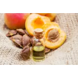 Huile de noyaux d'abricots Bio extra vierge de France