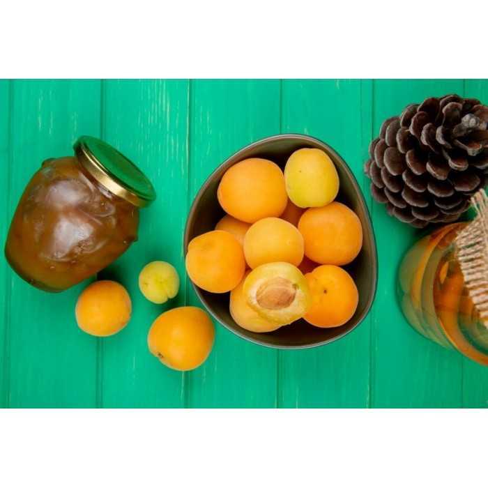Organic apricot jam from Provence - Direct producer
