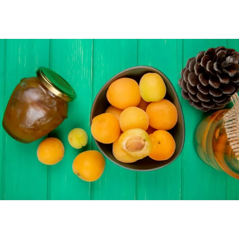 Organic apricot jam from Provence - Direct producer
