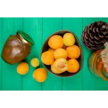 Organic apricot jam from Provence - Direct producer