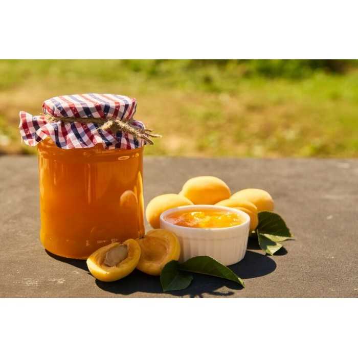Organic Apricot Compote from Provence - Direct Producer