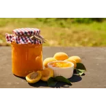Compote d'Abricots bio de Provence - Direct Producteur